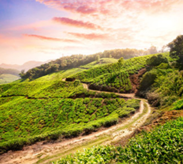 Exploring Earth's Beauty: Discover the World's Most Gorgeous Places