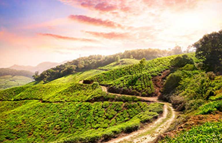 Exploring Earth's Beauty: Discover the World's Most Gorgeous Places